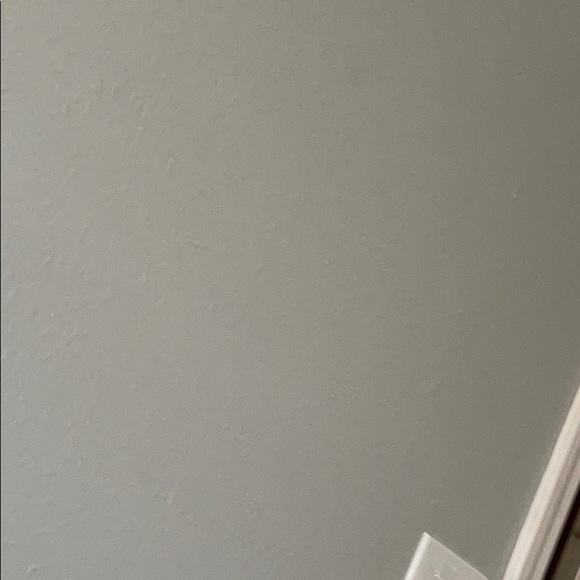 Meet your Posher, Jamila - Picture 1 of 1